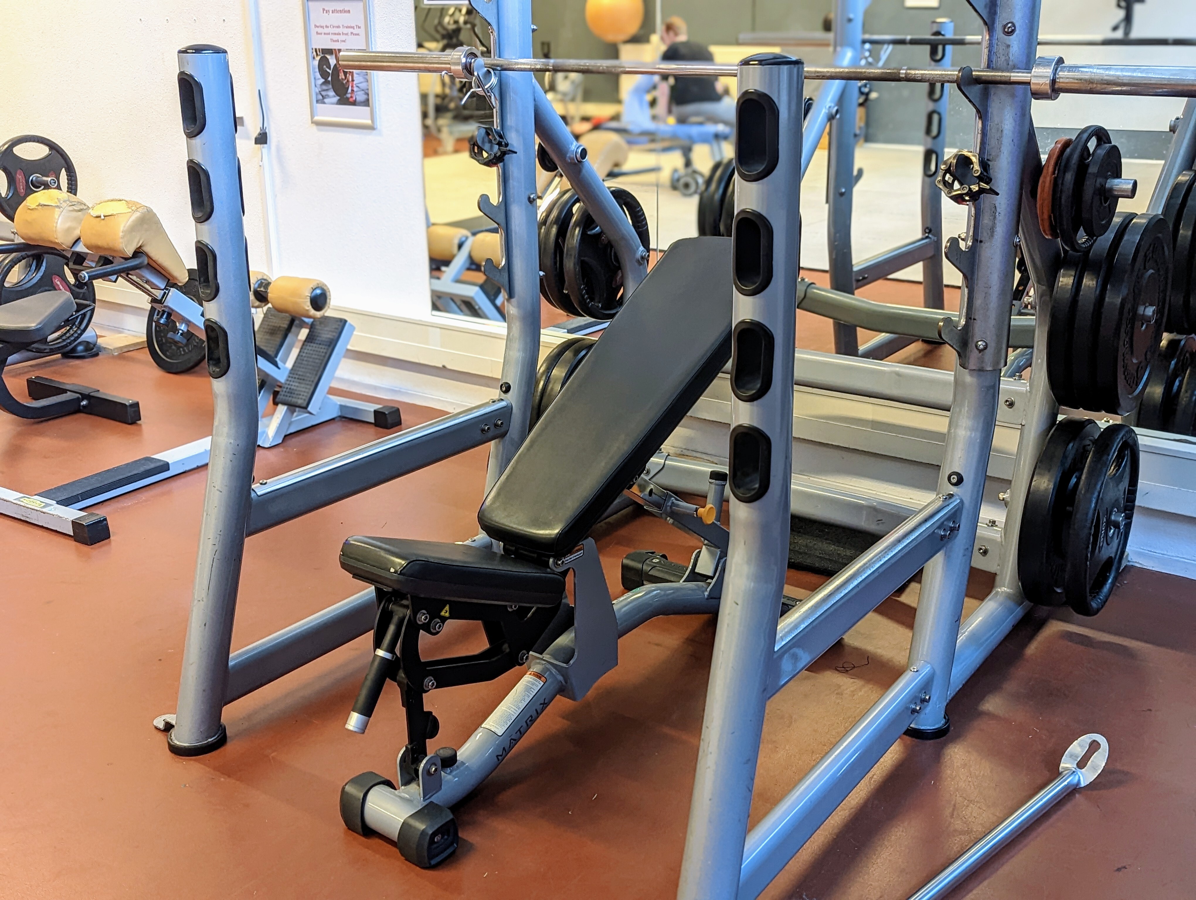 PXL 20221130 100329237 PORTRAIT2