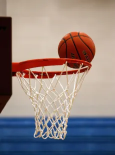 Pexels pixabay 358042