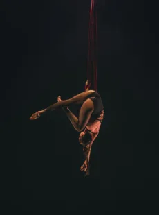 Pexels mykhailo petrenko 2152927294 32616619